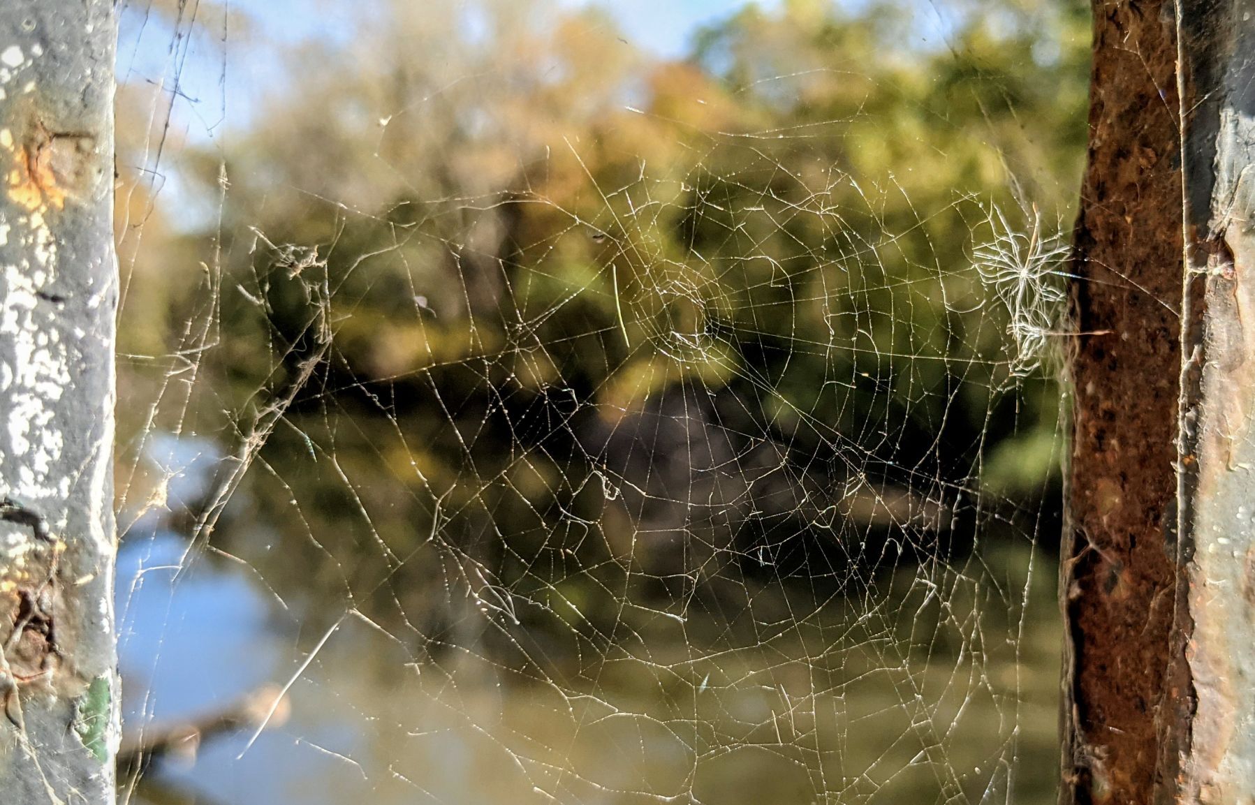 Fall in Mason City - web
